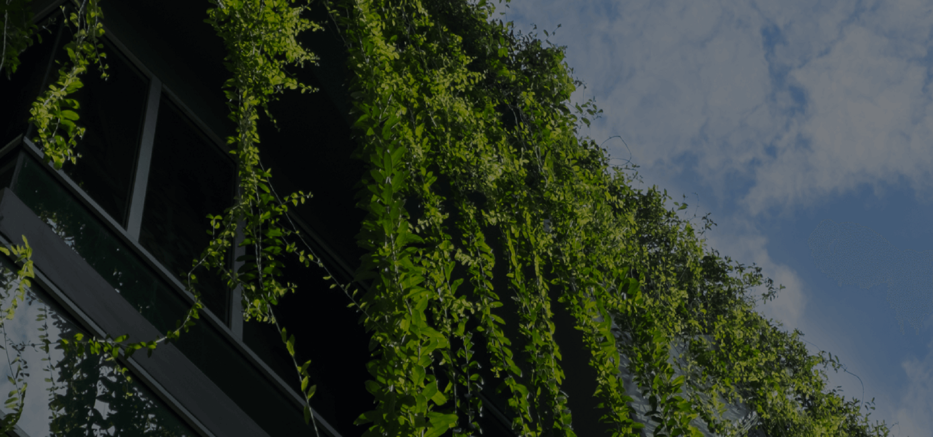 mahindra Group